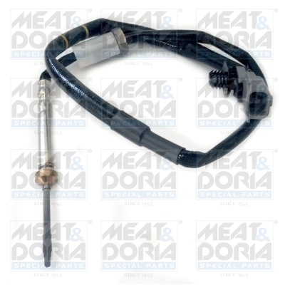 Sensor, exhaust gas temperature